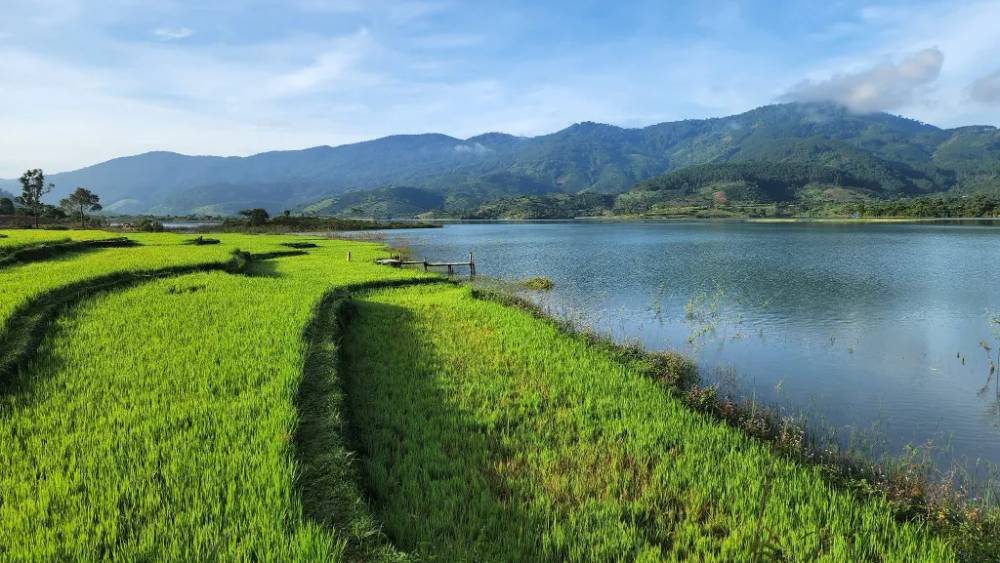 Khám phá khoảng trời cao nguyên ở Hồ Kala Di Linh 