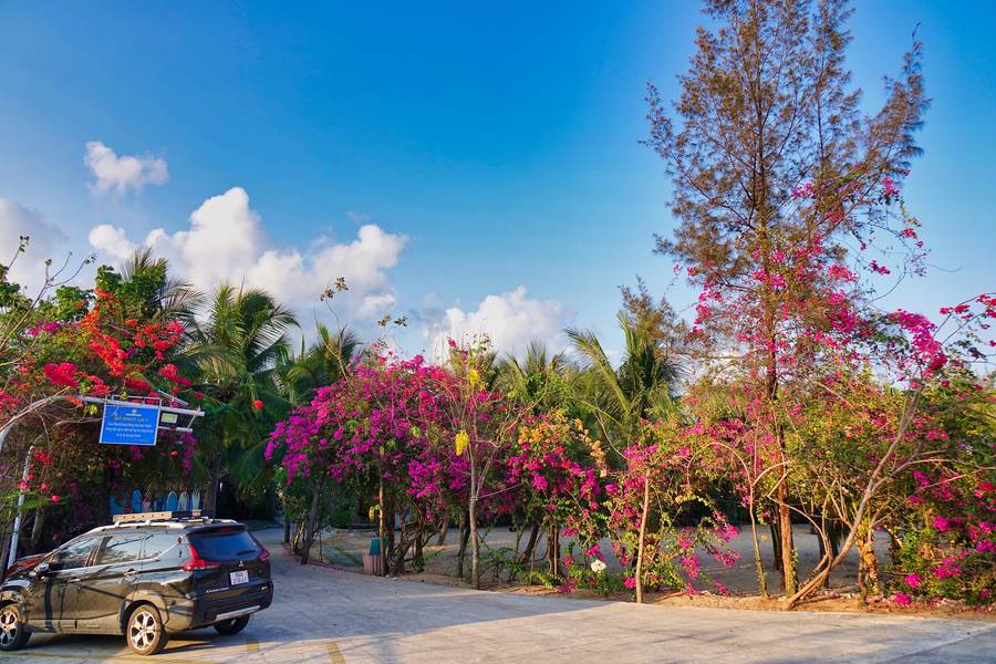 khám phá coco beachcamp lagi