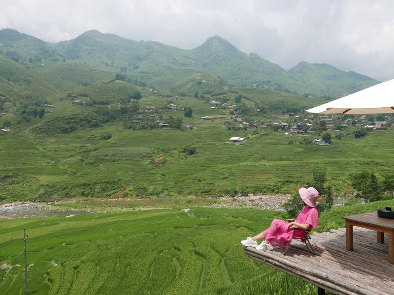 mùa lúa chín sapa