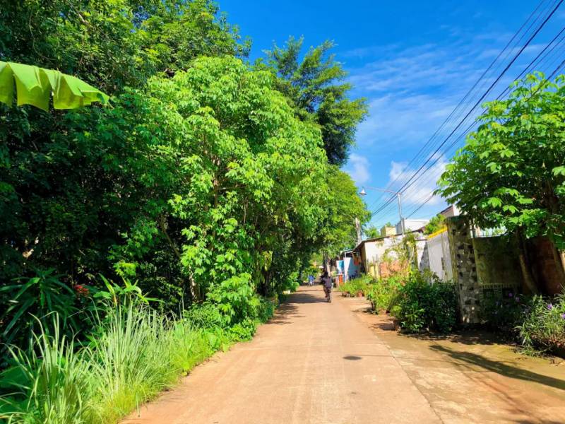 Con đường tới các miệt vườn đi sâu vào thôn xóm bình yên
