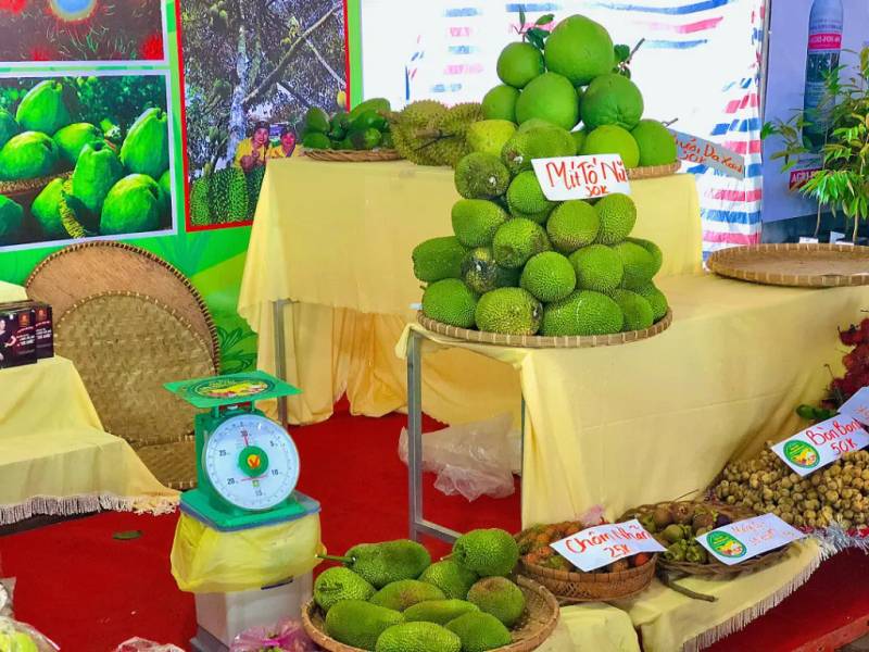 Lễ hội trái cây được tổ chức hoành tráng tại Công viên Bia chiến thắng TP. Long Khánh