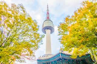 N Seoul Tower - Biểu tượng tình yêu của Seoul, Sói