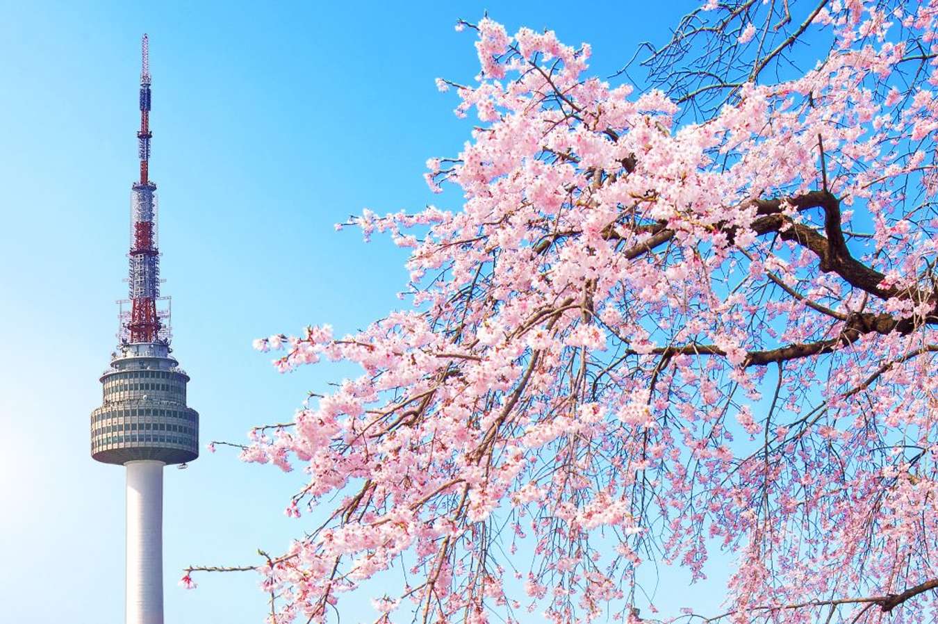 Tháp N Seoul Tower được xem là biểu tượng của thủ đô Seoul 