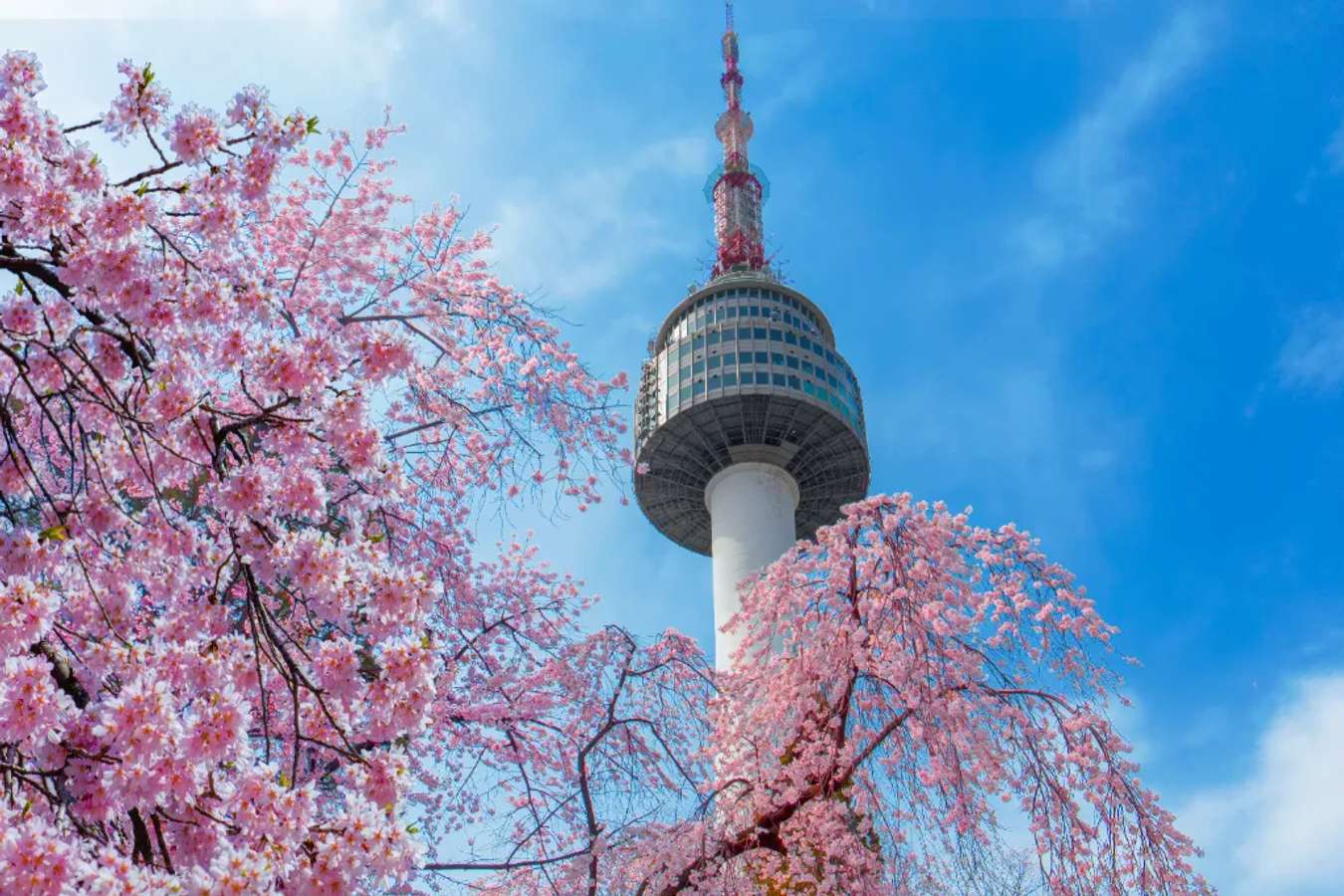 N Seoul Tower - Biểu tượng tình yêu của Seoul