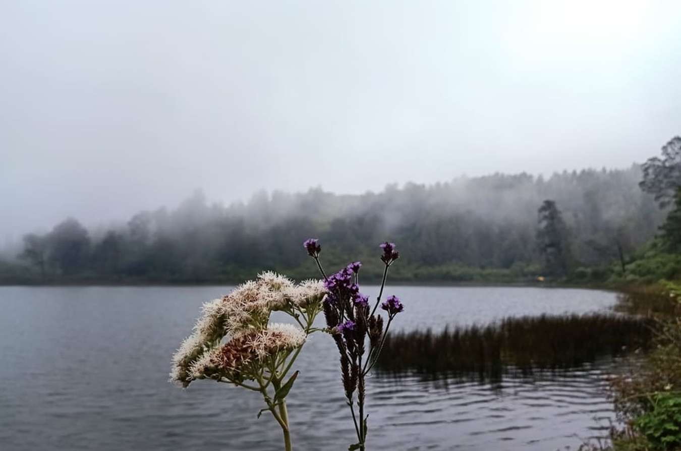 Pemandangan danau ranu regulo