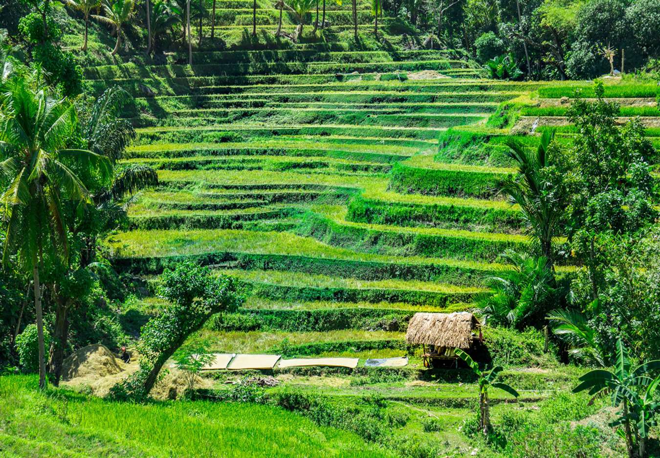 From Pristine Beaches to Ancient Ruins: Antique Tourist Spots