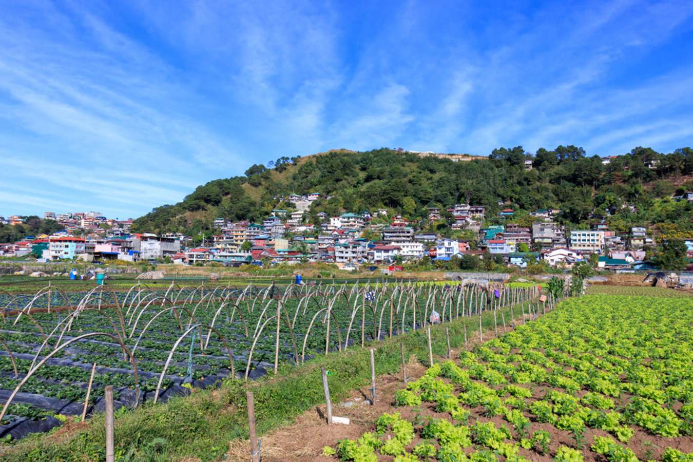 tourist spots in kapangan benguet