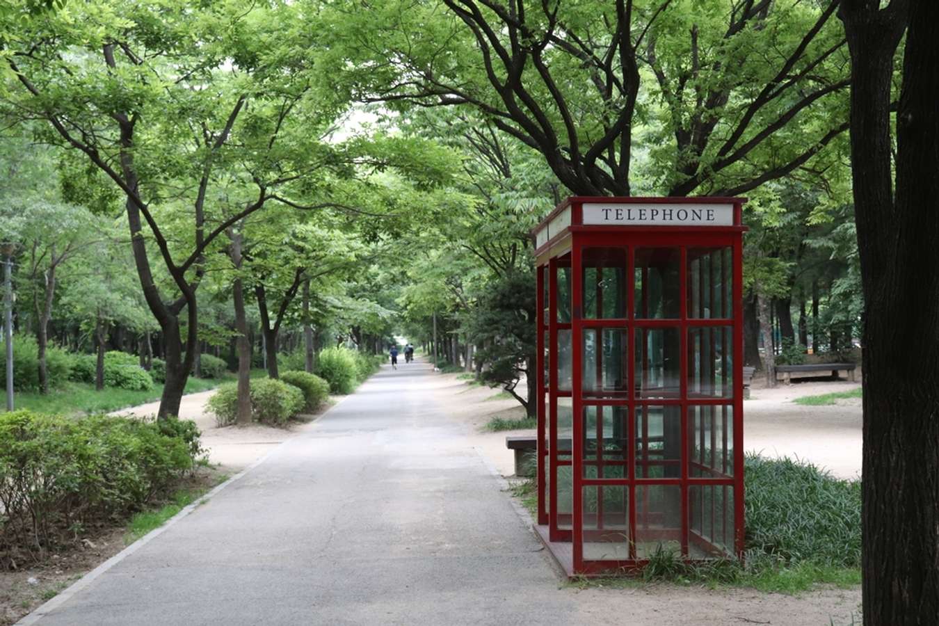 Seoul Forest - Things to do in Seoul