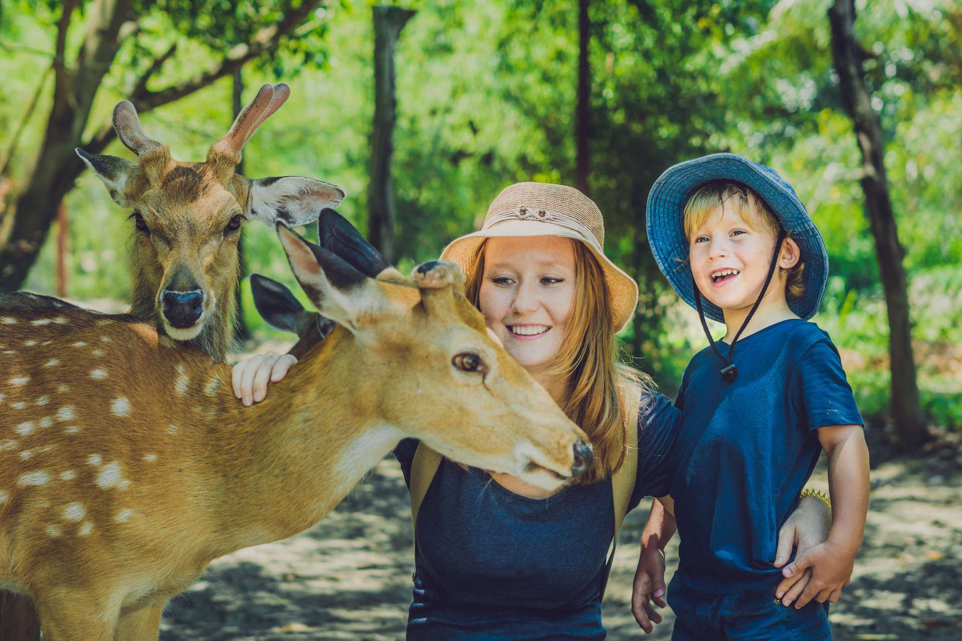 12 Exciting Things To Do With Your Kids In Bali Where To Go In Bali 12 exciting things to do with your kids in bali where to go in bali