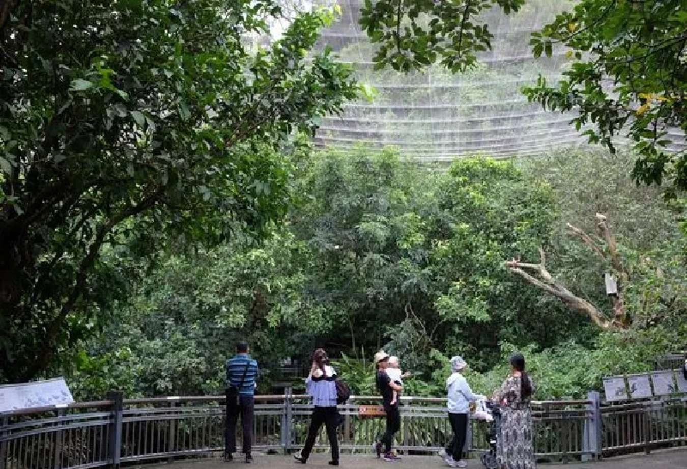 Taipei Zoo-sở thú Đài Bắc