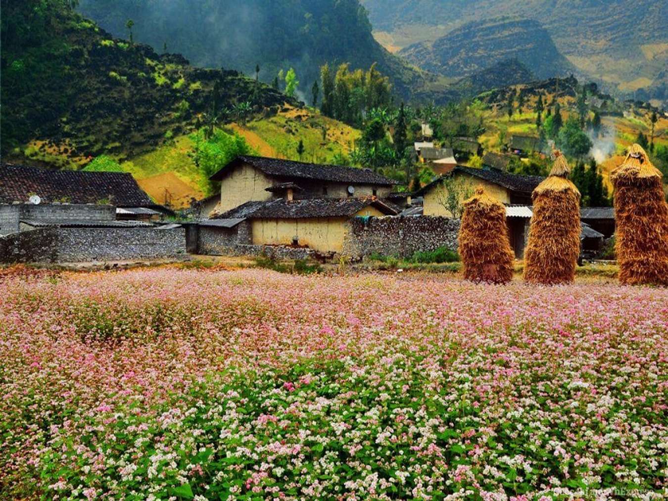 Thung lũng Sủng Là - Đóa hoa tuyệt đẹp giữa núi đá Hà Giang