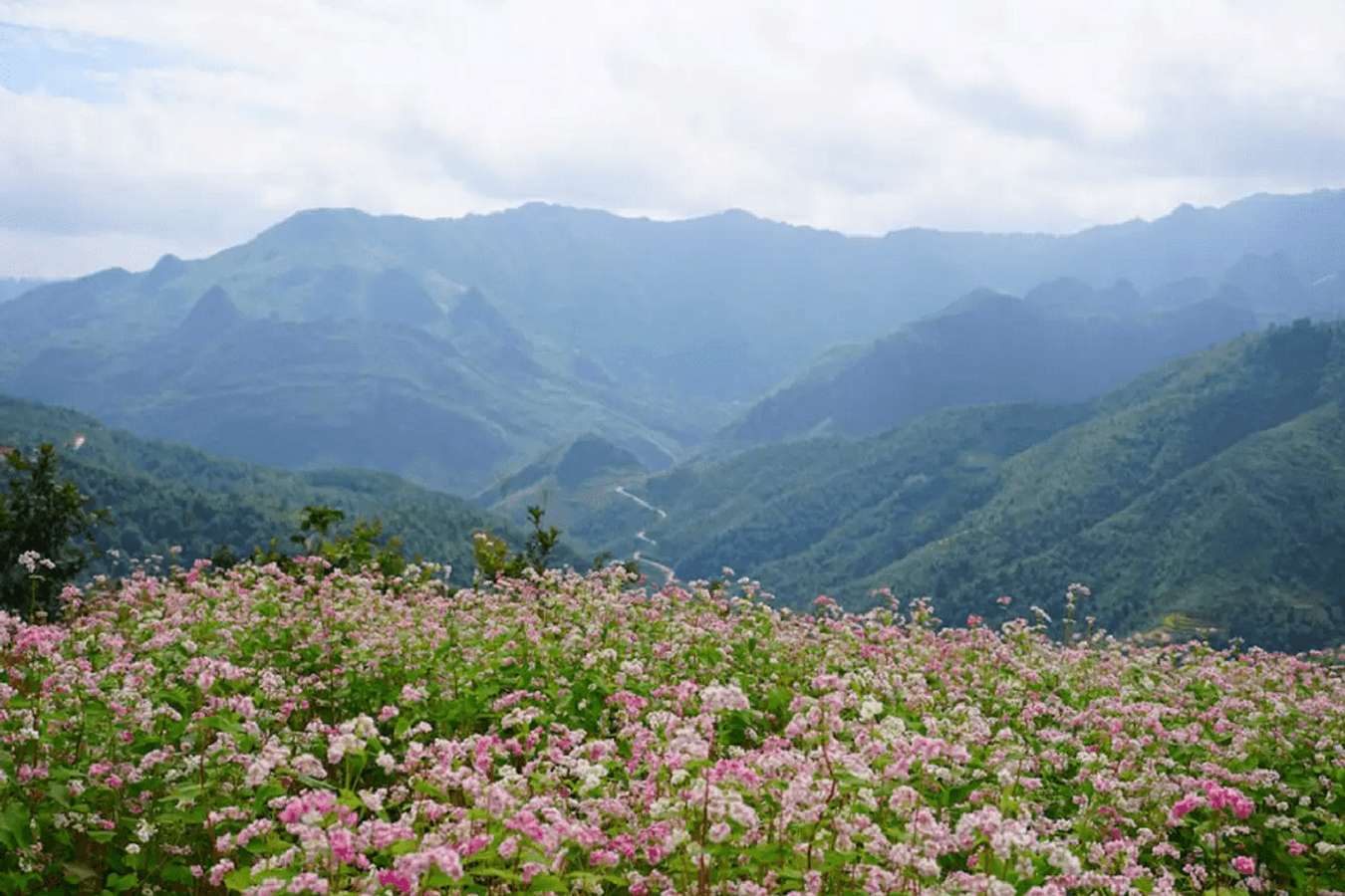 thung lũng Sủng Là