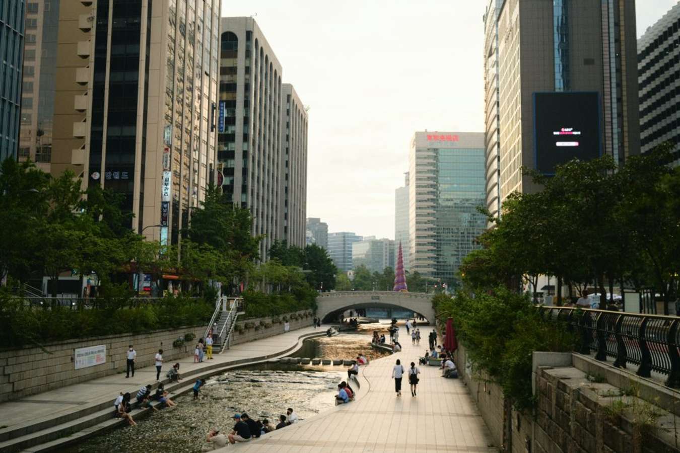 cheonggyecheon-stream