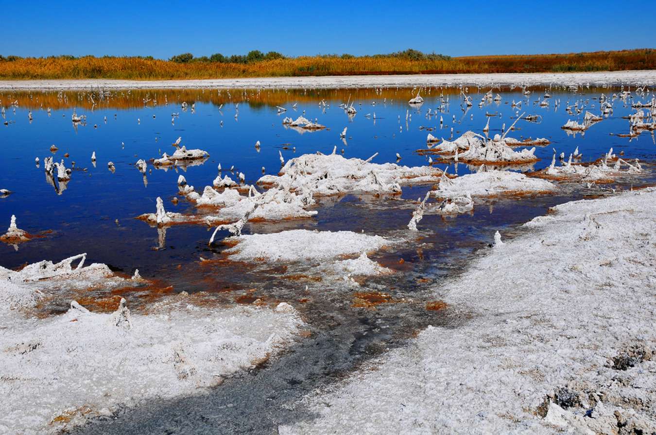 Aydar Lake