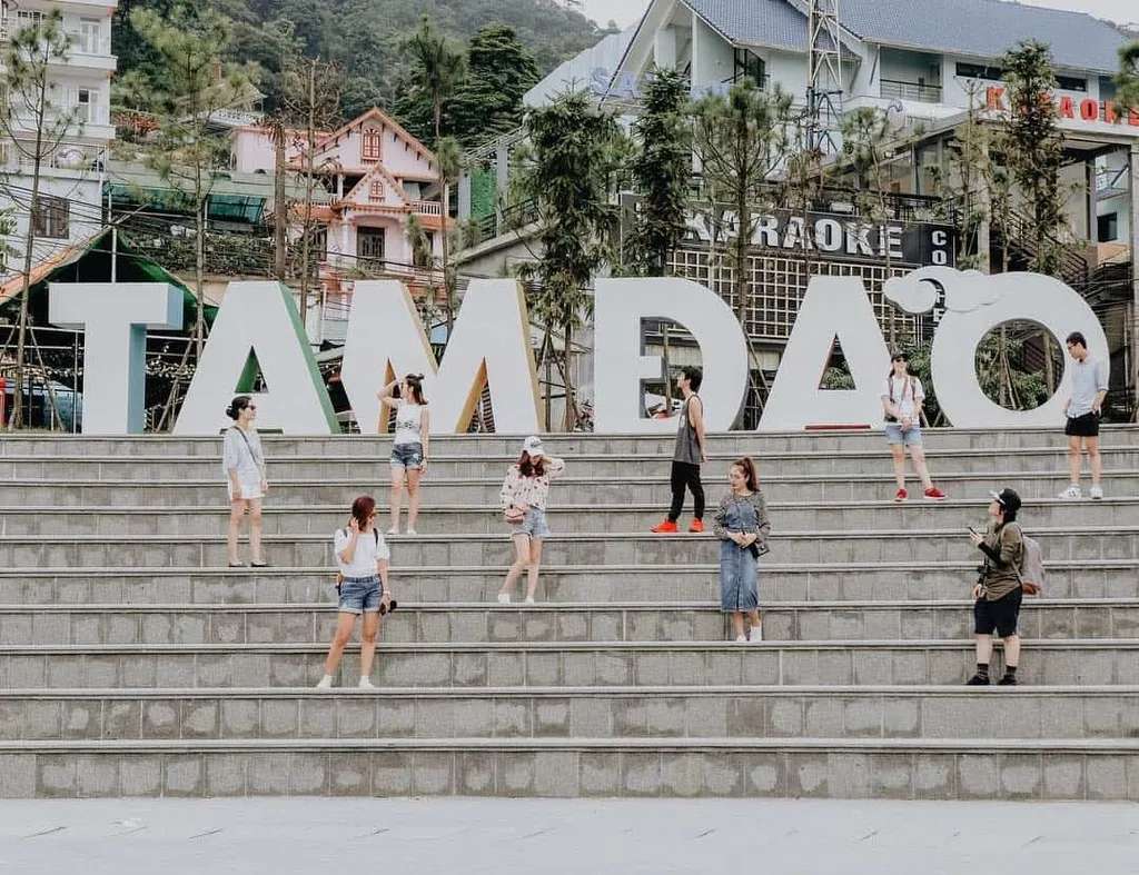 Kinh nghiệm du lịch Tam Đảo 1 ngày chi tiết nhất