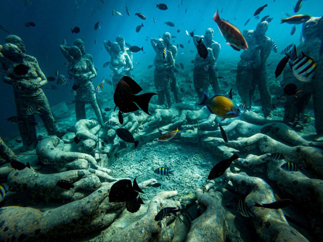 tour lombok terbaik