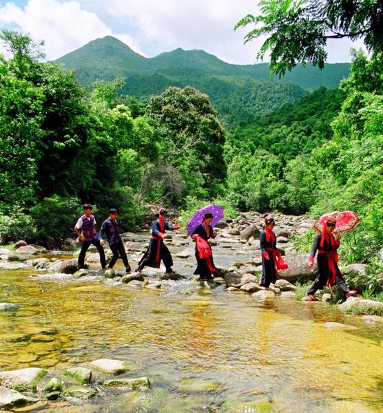 Hành trình xuyên rừng đến thác 