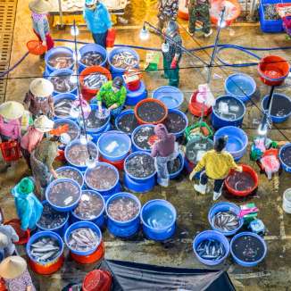 Chợ cá Thanh Hà là nơi mang những nét văn hóa bản địa đặc sắc, rõ nét nhất