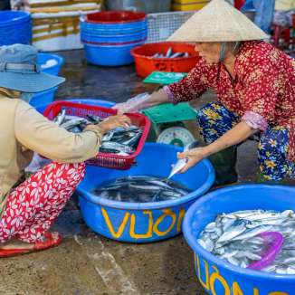 Đi chợ lựa cá cũng là một thú vui…