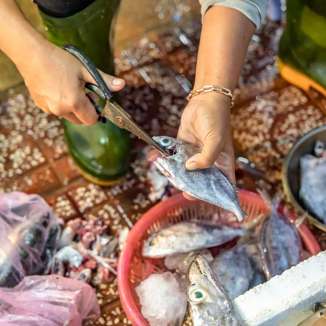 Đi chợ lựa cá cũng là một thú vui…