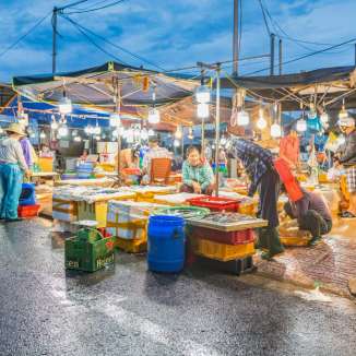 Chợ cá tấp nập trong ánh đèn điện, tiếng lao xao ấm áp cả một vùng chợ quê