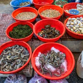 Chợ cá Thanh Hà cá tôm đủ chủng loại đa dạng và tươi rói