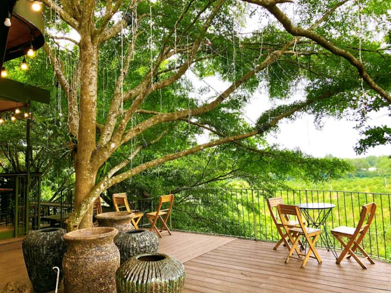 Khu vực cafe trong nhà ấm cúng tại Sol Retreat Farm