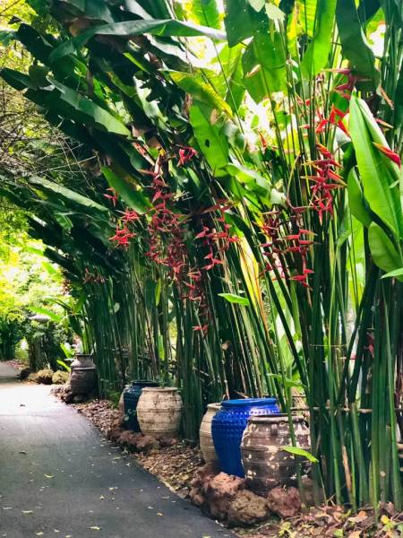Khung cảnh tựa như làng quê vùng núi phía Bắc