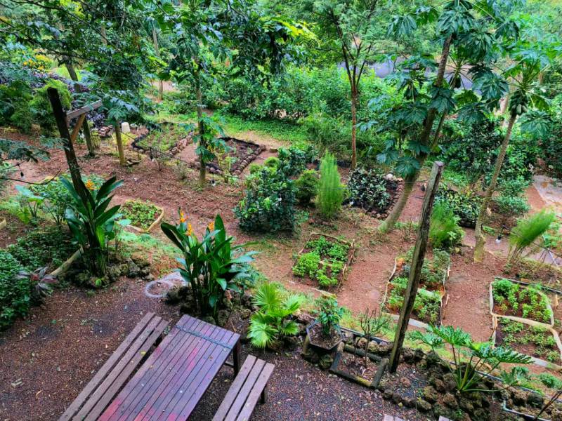 Ngoài ra còn có 1 khu vườn rau xanh cho bạn chăm sóc, thu hoạch nếu có nhiều thời gian ở Sol
