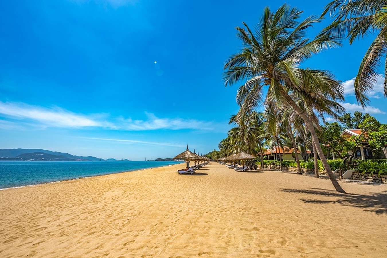 kinh nghiệm du lịch nha trang 3 ngày 2 đêm