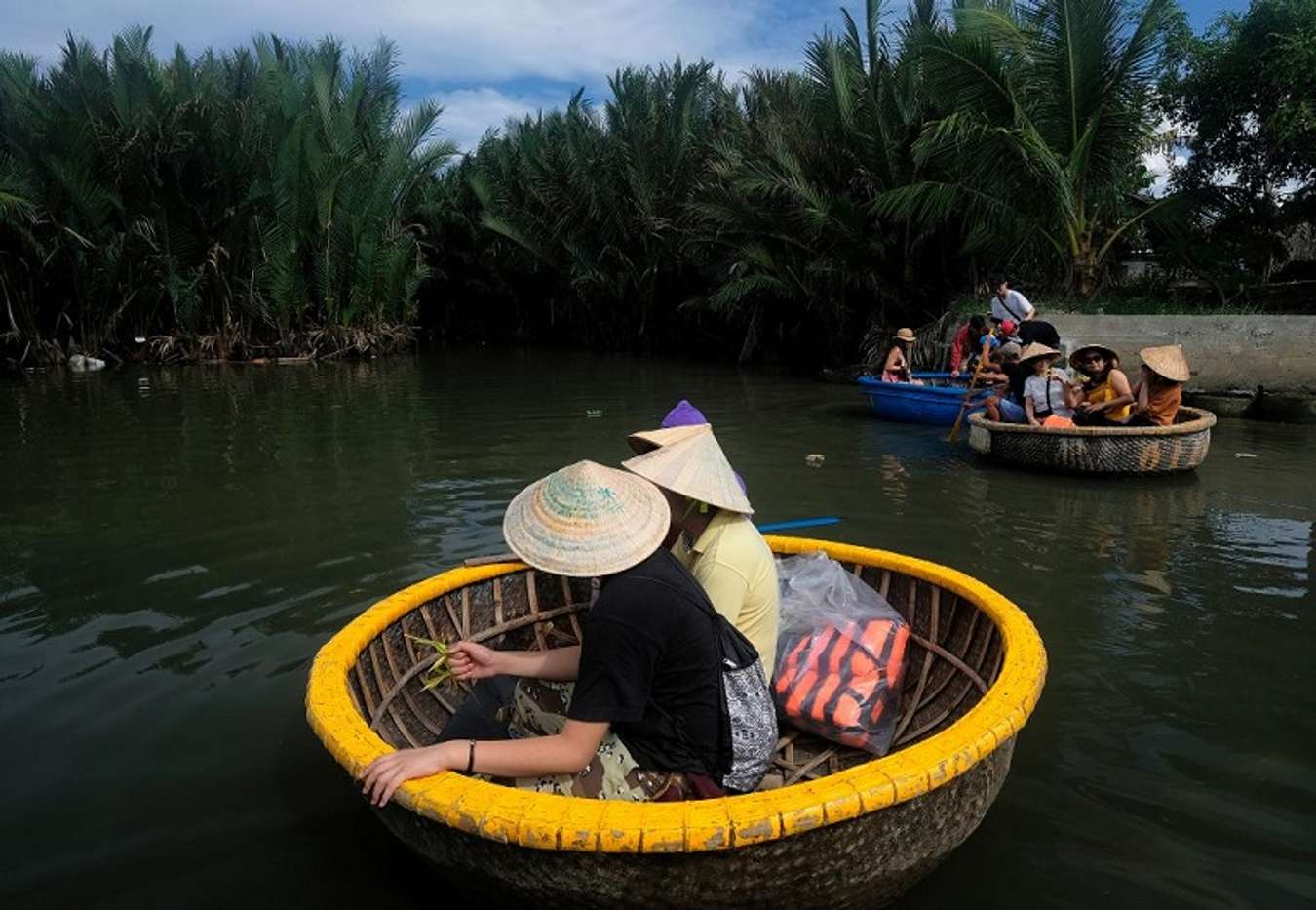 Rừng dừa Bảy Mẫu