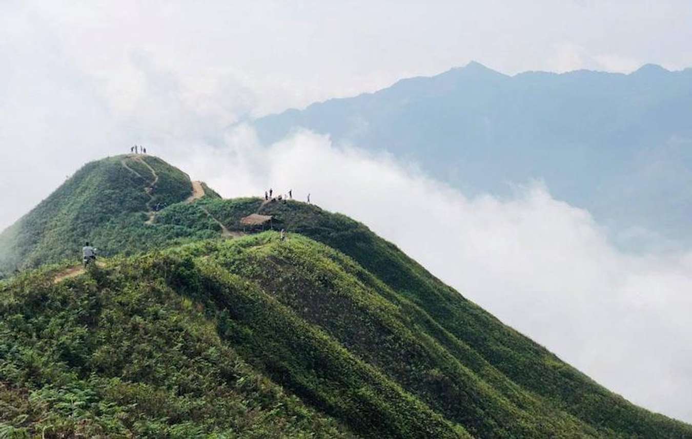 Sống lưng khủng long