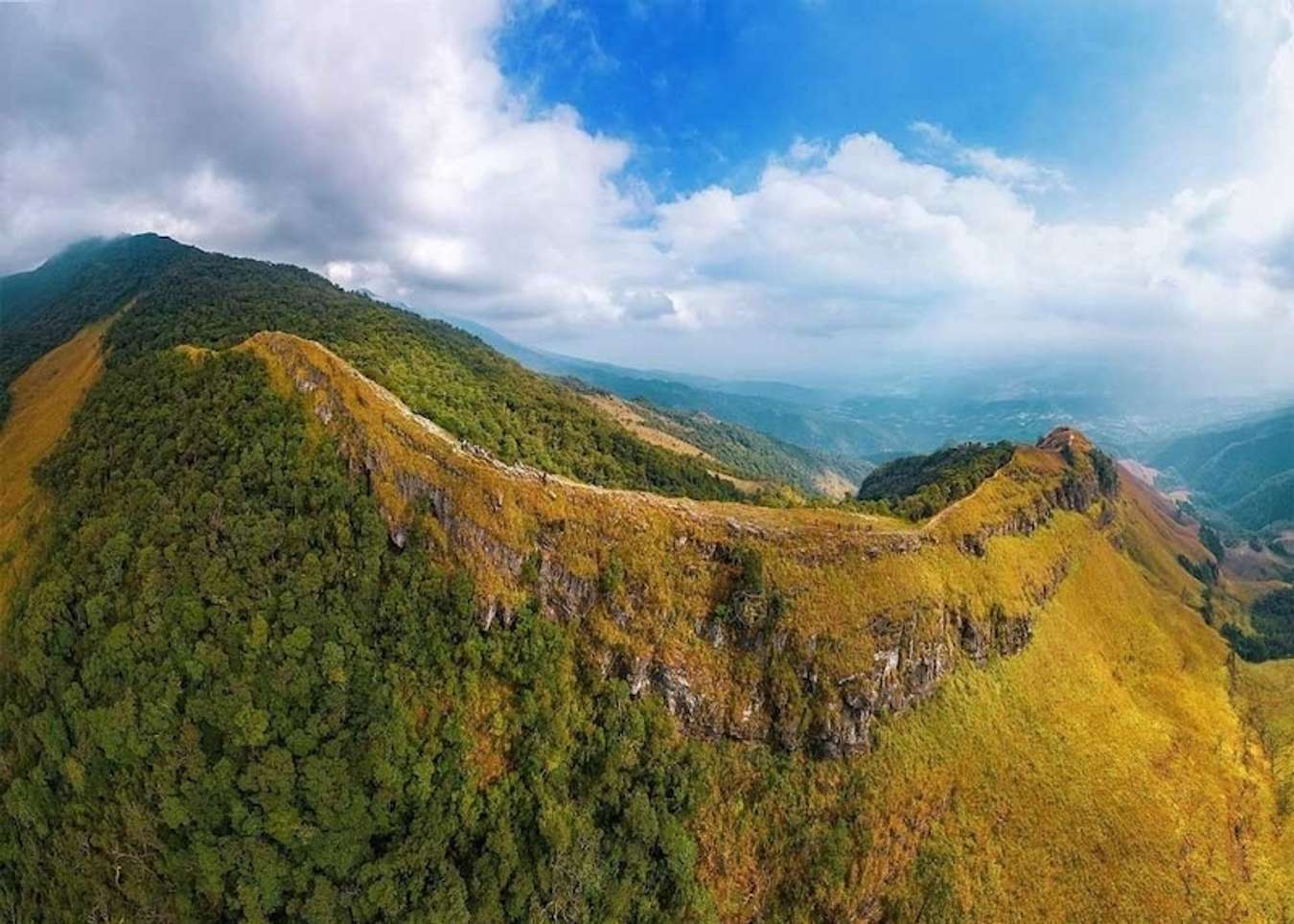 Sống lưng khủng long