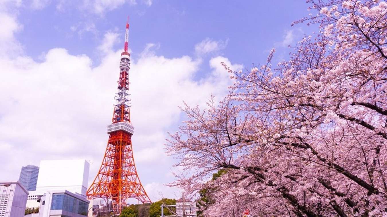 Ghé thăm tháp Tokyo và khám phá “tất tần tật” những điều chưa biết