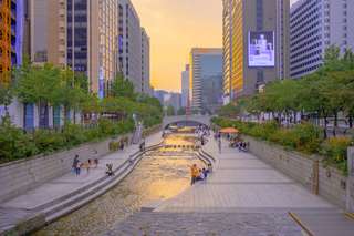 7 Areas to Stay in Seoul For First-Timer, Mas Bellboy