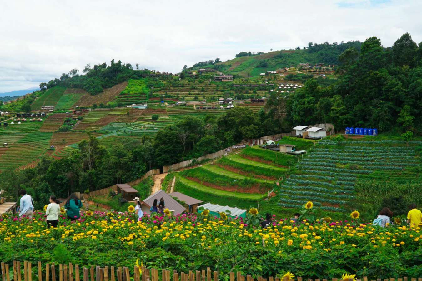 Thiên đường Mae Sa dành cho những người yêu thiên nhiên