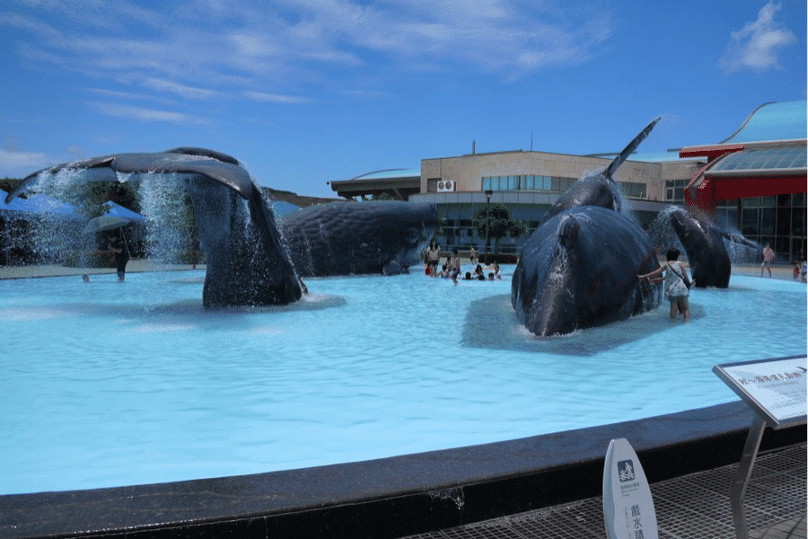 Tham quan Bảo tàng Sinh học Biển & Thủy cung