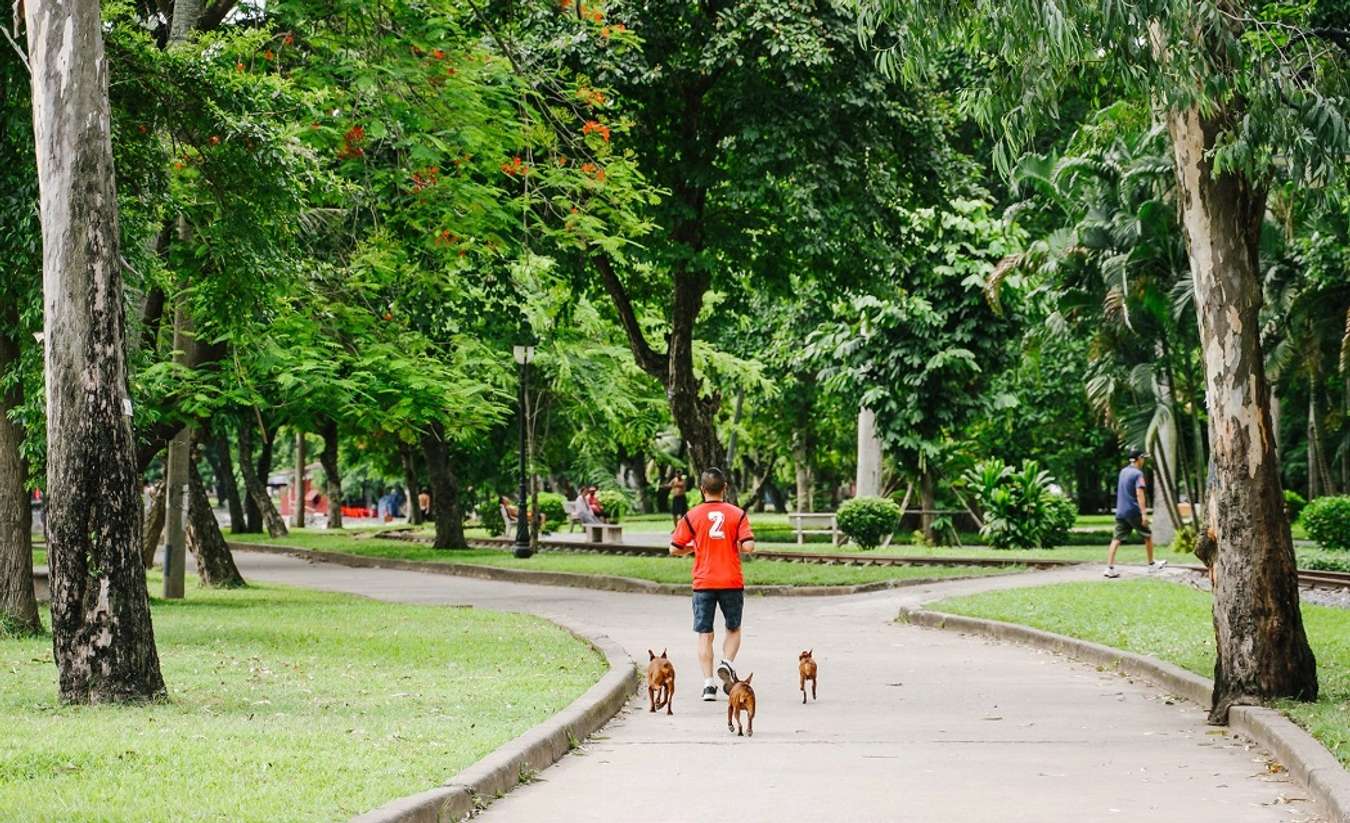 công viên thống nhất