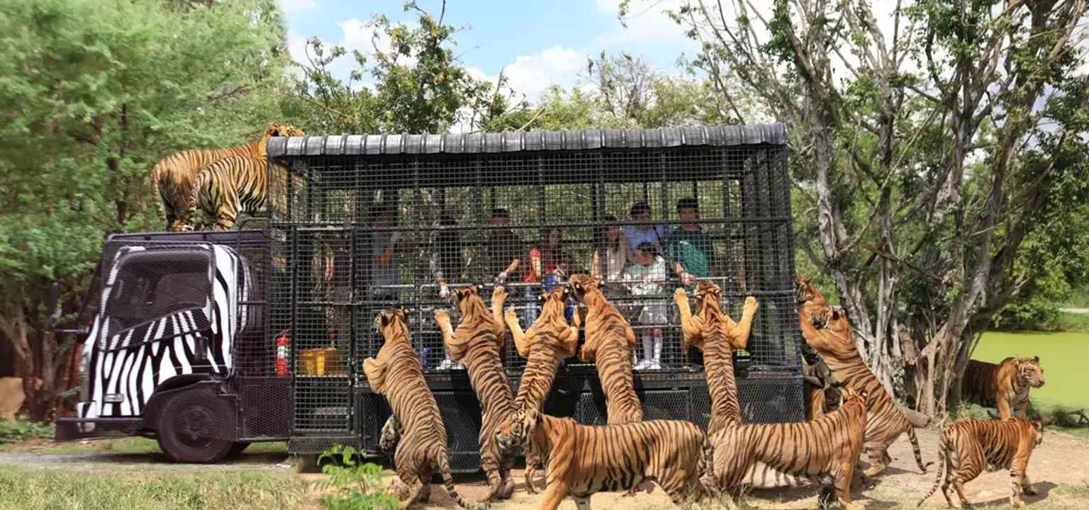 safari world bangkok maltraitance