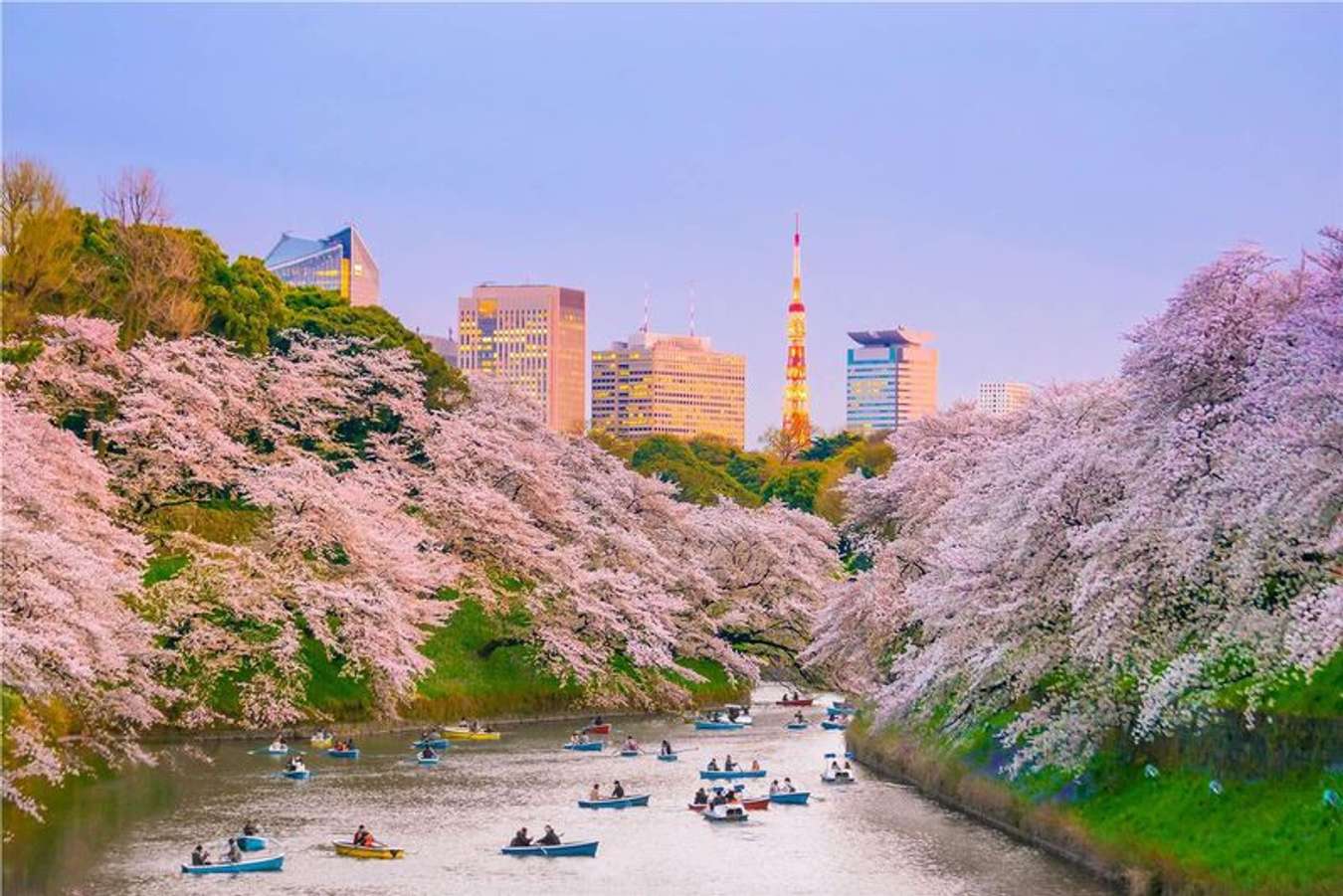 Công viên Ueno: Dành trọn ngày khám phá công viên Ueno lâu đời nhất Nhật Bản