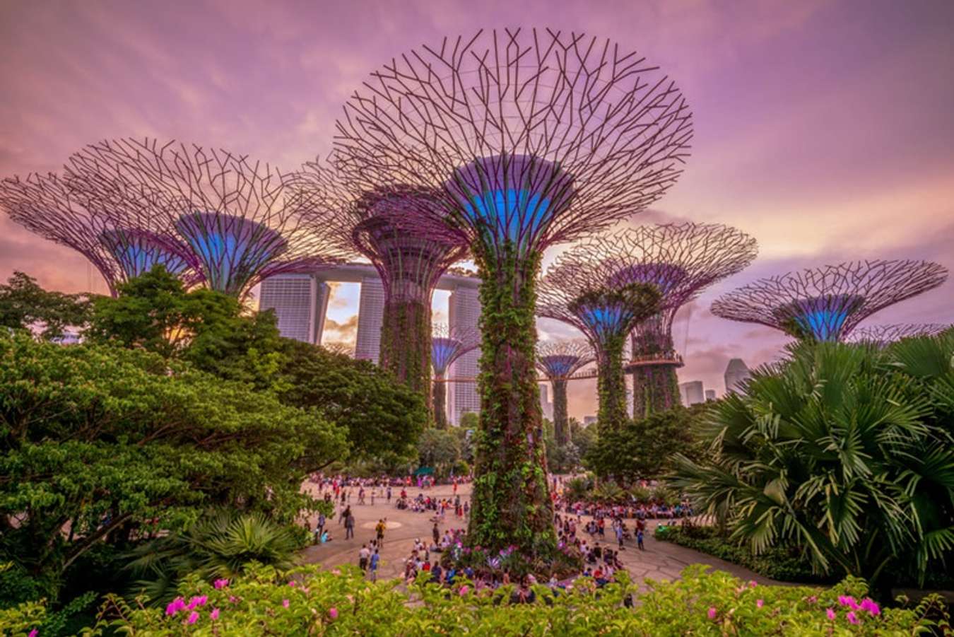 Khám phá Gardens By The Bay - thiên đường địa đàng tại Singapore
