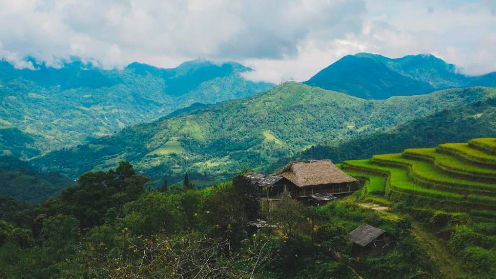 Bản Phùng mùa lúa chín