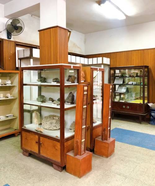 Tầng 1 là những mẫu đá và hóa thạch từ thời tiền sử trên khắp Việt Nam