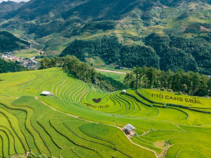 đồi Móng Ngựa
