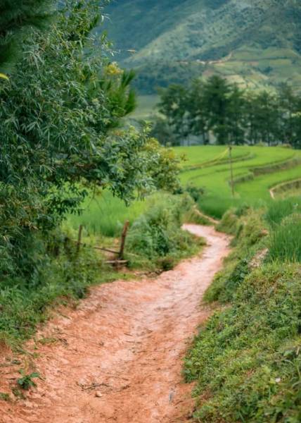 Đường lên Đồi Móng Ngựa tuy khó khăn nhưng rất đáng để thử sức