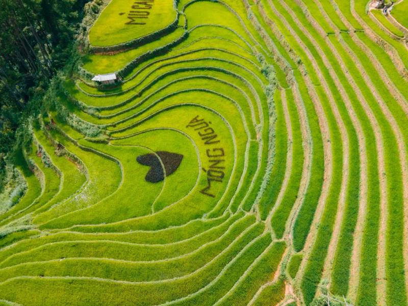 đồi Móng Ngựa