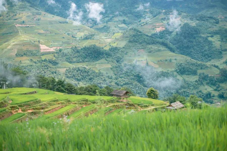 đồi Móng Ngựa