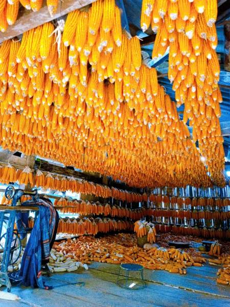 đồi Móng Ngựa