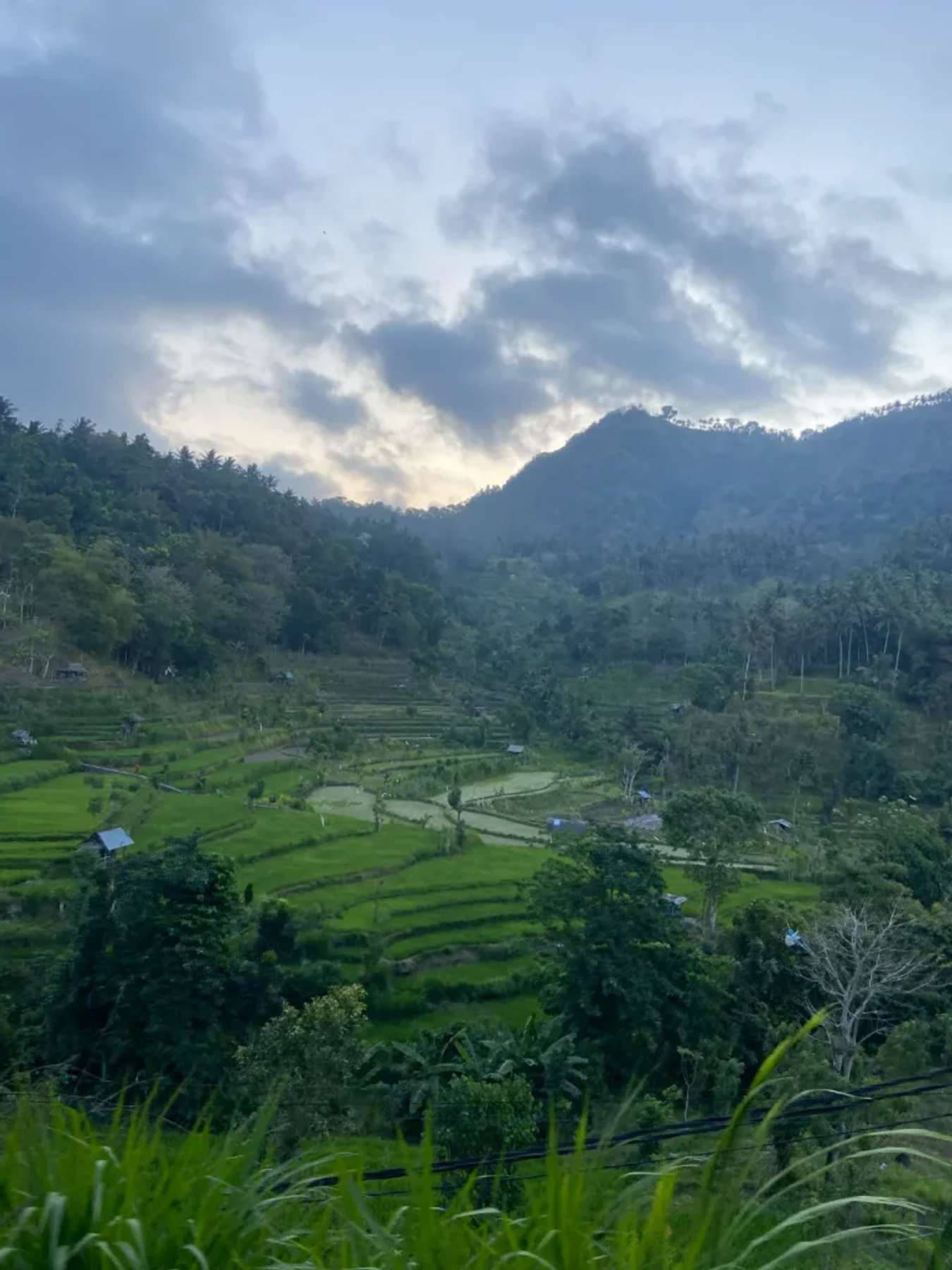 Ruộng bậc thang ở đây không nhộn nhịp như ở Ubud - du lịch Amed Bali