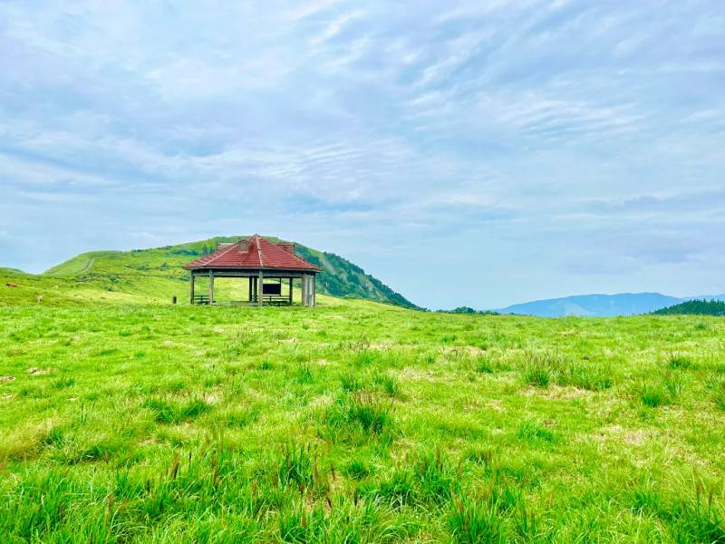 Thảo nguyên xanh thu nhỏ Kusasenri 